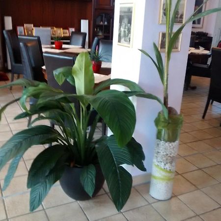 Hotel Attache Raunheim Zewnętrze zdjęcie